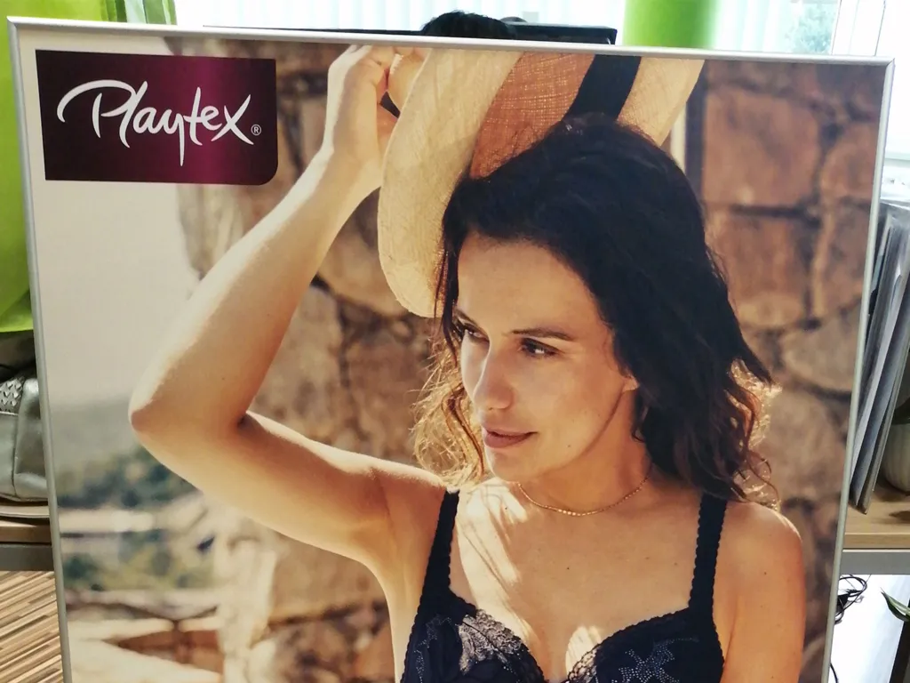 reference-hanes-2