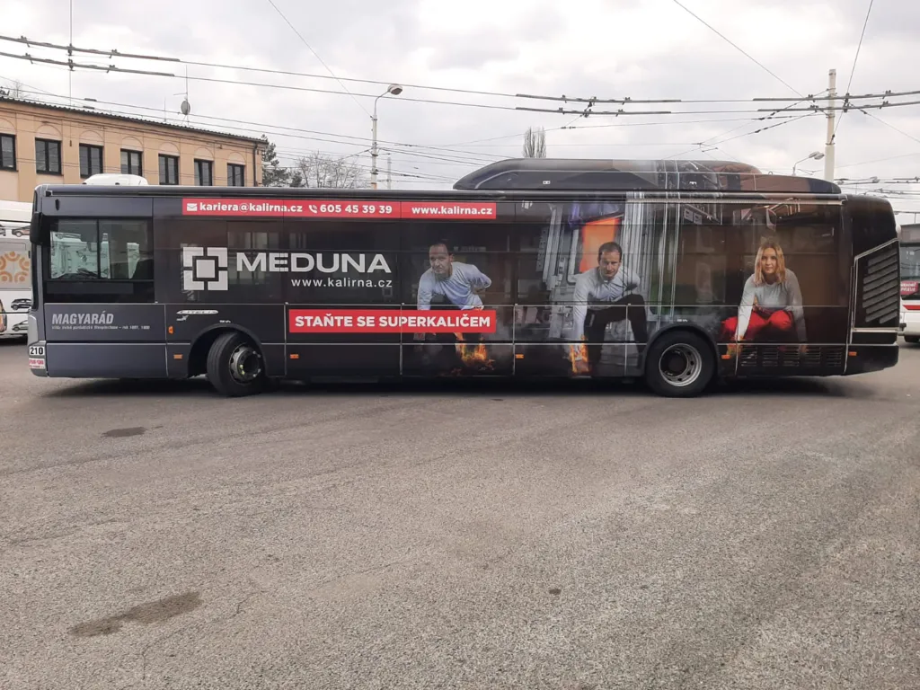reference-meduna-2