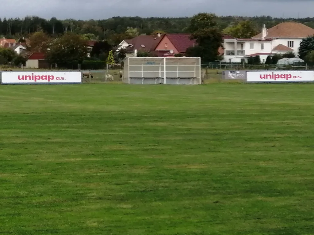 fotbalove-hriste-chvojenec-strana