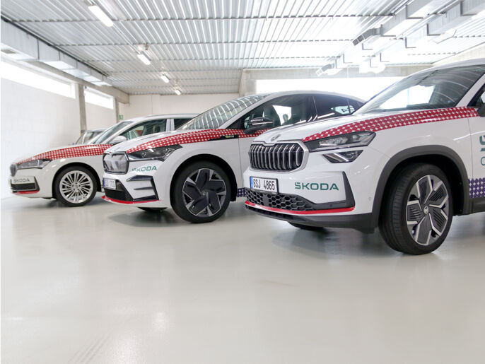 reference-polep-skoda-23