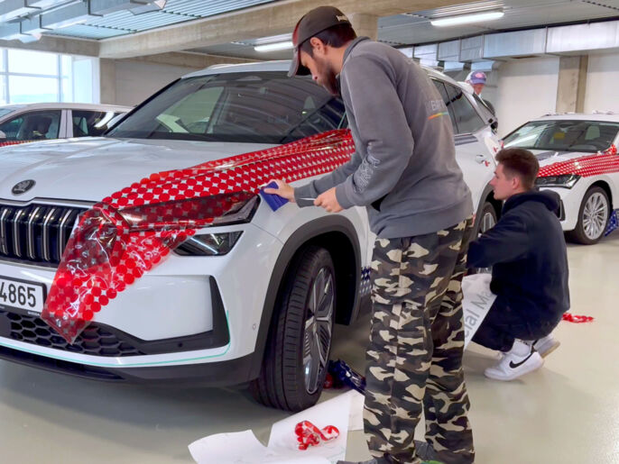 reference-polep-skoda-9