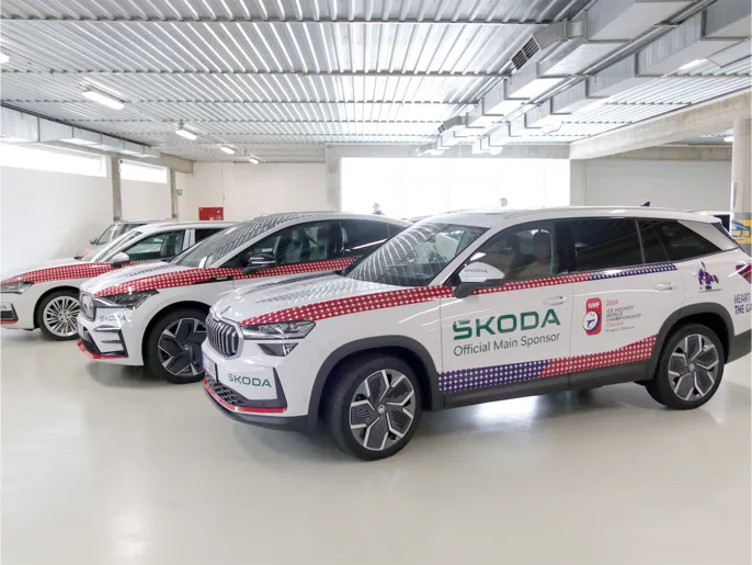 reference-polep-skoda-24