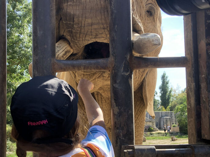 teambulding-2021-krkonose-5