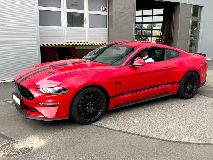 textil-divoka-kola-5