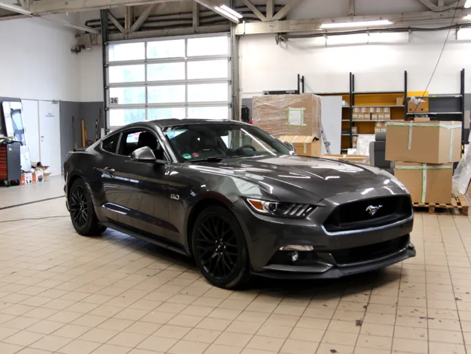 mustang-angry-beards-pred-polepem
