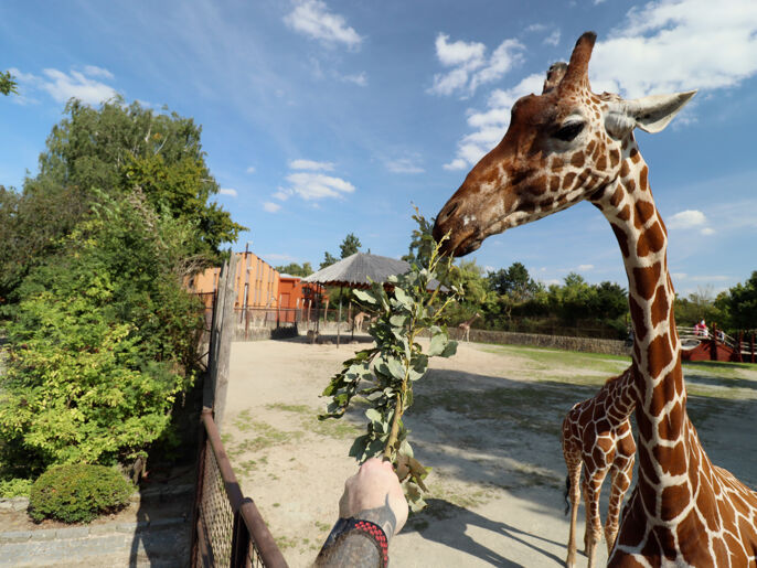 teambulding-2021-krkonose-1