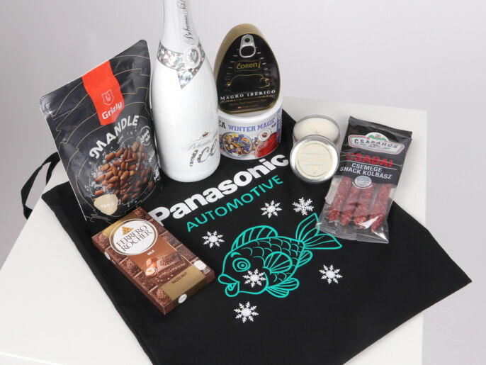 reference-panasonic-1