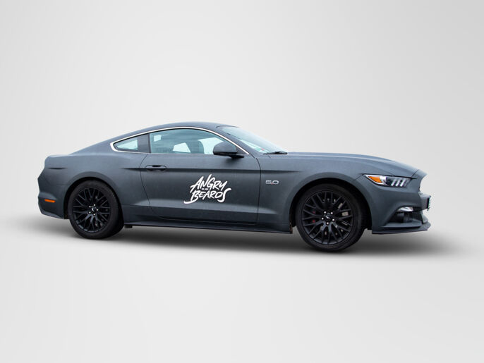 Celopolep Mustangu Angry Birds