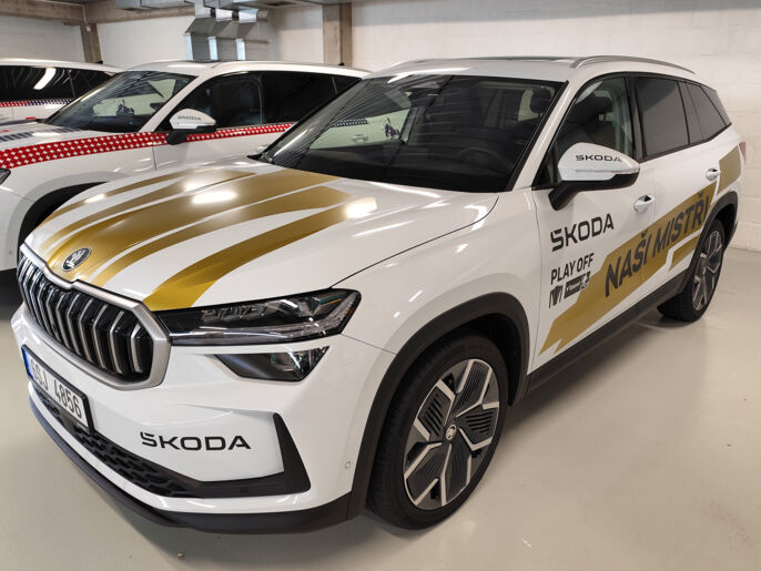 reference-polep-skoda-12