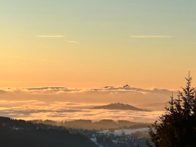 WhatsApp Image 2025-01-22 at 09.40.36