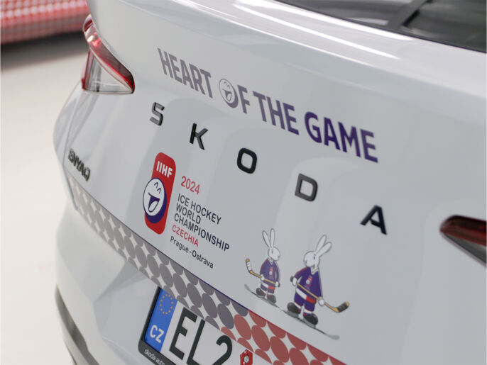 reference-polep-skoda-20